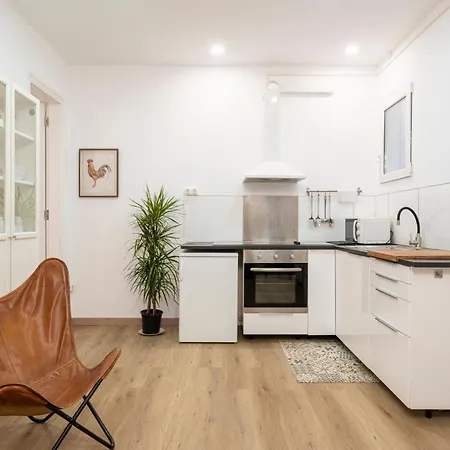 Centric Molino P3 Apartament Barcelona