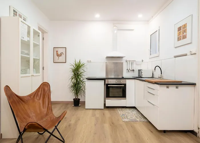 Centric Molino P3 Apartamento Barcelona